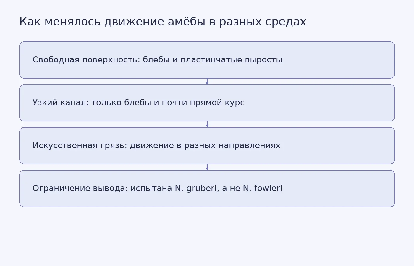 Схема сравнивает движение Naegleria gruberi на свободной поверхности, в узком микроканале и в трёхмерной искусственной среде, а также показывает ограничение переноса результата на патогенный вид