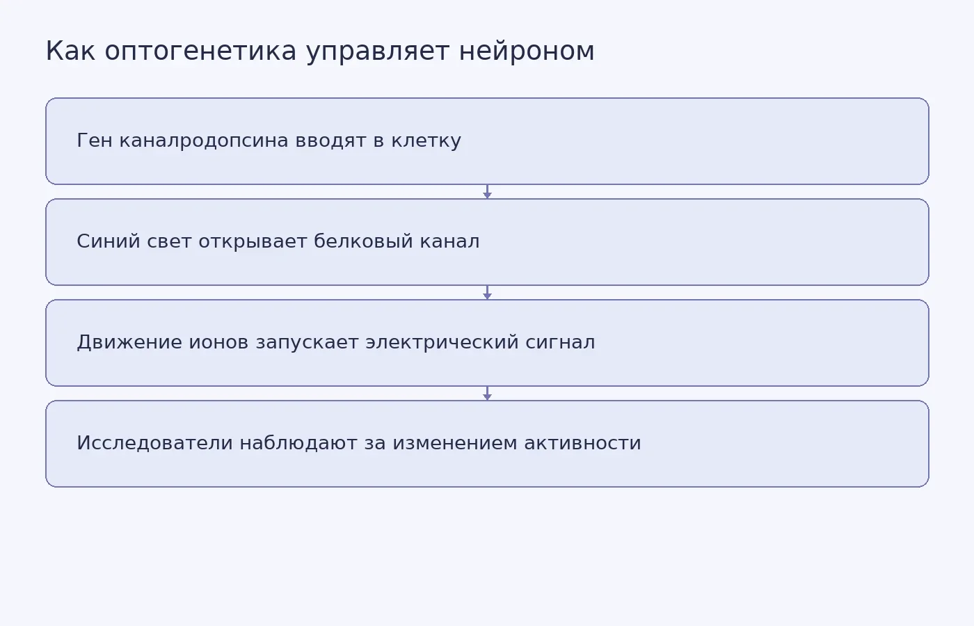 Схема показывает последовательность от переноса гена каналродопсина в нейрон до запуска электрического сигнала синим светом и наблюдения за активностью клетки.