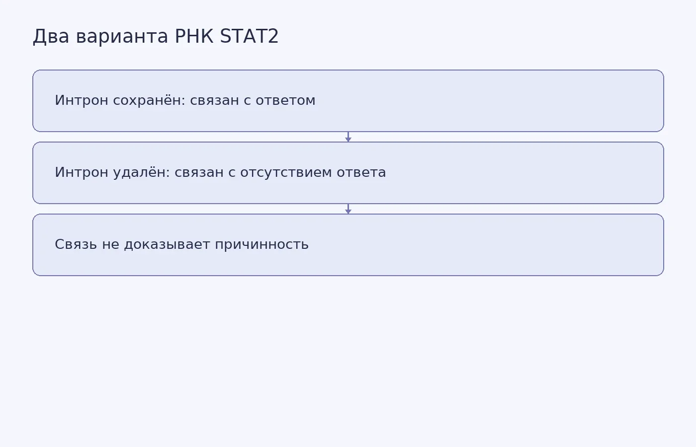 Схема показывает связь двух вариантов обработки РНК STAT2 с ответом пациентов на анти-PD-L1-терапию и подчёркивает, что причинность не установлена.