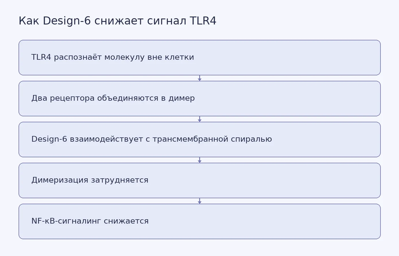 Схема показывает, как белок Design-6 взаимодействует с трансмембранной частью TLR4, мешает объединению рецепторов в димер и ослабляет воспалительный NF-κB-сигнал