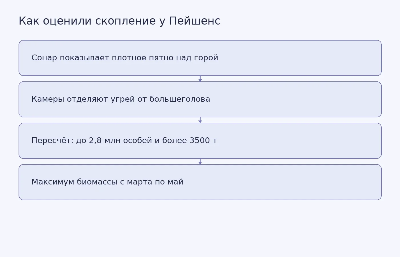 Схема объясняет, как сонар и подводные камеры позволили оценить число угрей у подводной горы