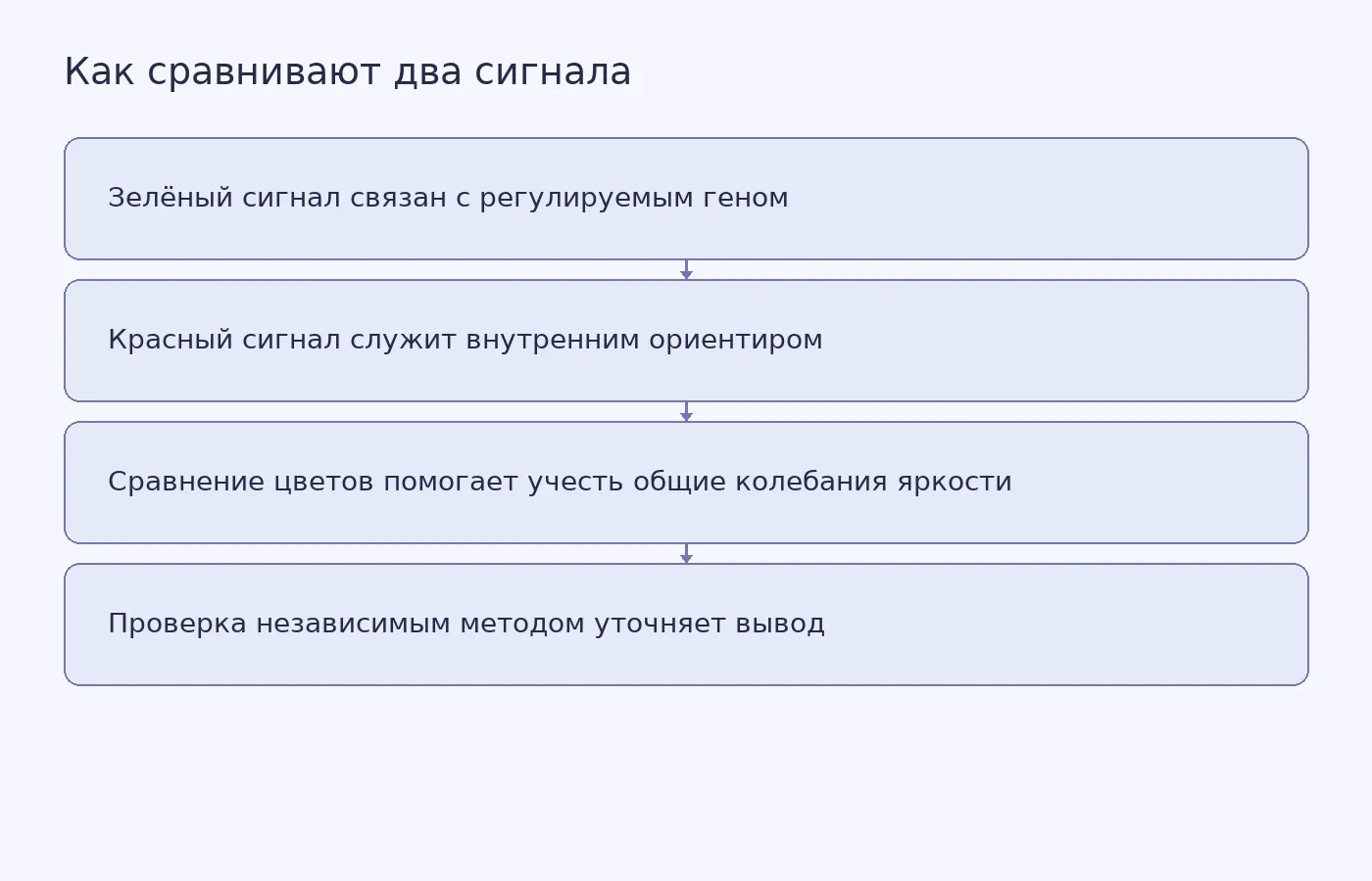 Схема объясняет, как два световых сигнала помогают оценивать активность гена и почему результат стоит проверять независимым методом.