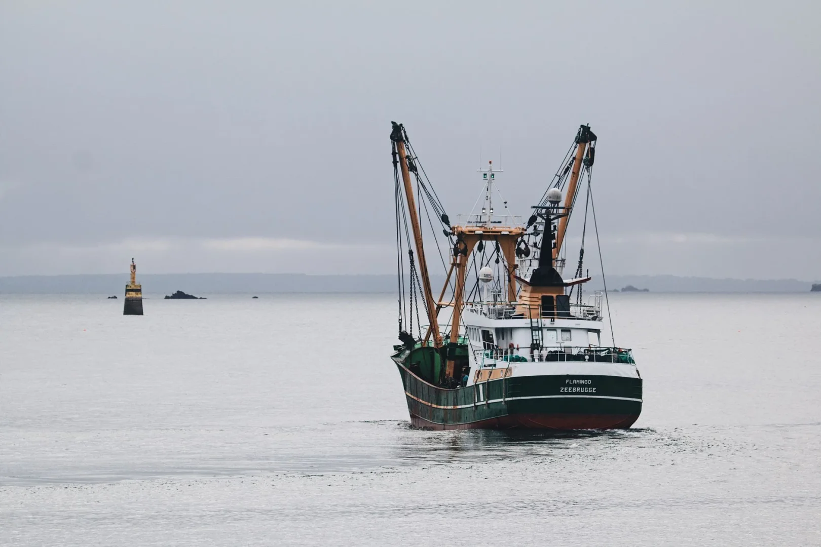Плавающий буй с «глазами» снизил прилов морских птиц в сетях у Корнуолла