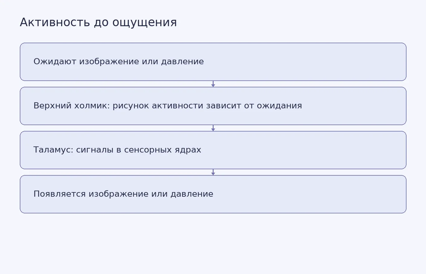 Схема показывает, что до зрительного или тактильного стимула рисунки активности в верхнем холмике и связанных с чувствами ядрах таламуса различались в зависимости от ожидаемого сигнала; направление передачи сигналов не показано.