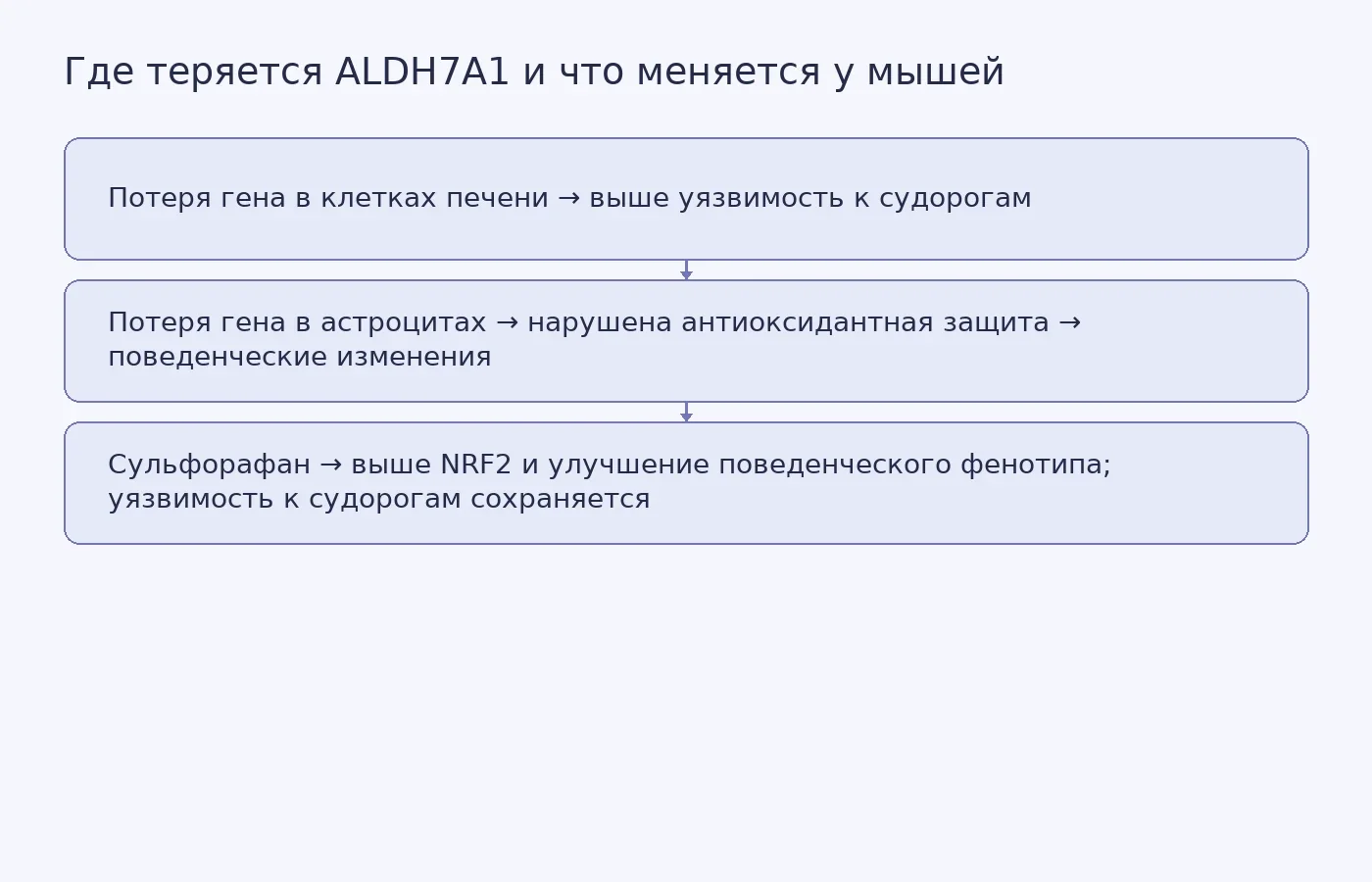 Схема различает результаты удаления ALDH7A1 в клетках печени и астроцитах, а также показывает предел эффекта сульфорафана в опыте на мышах.