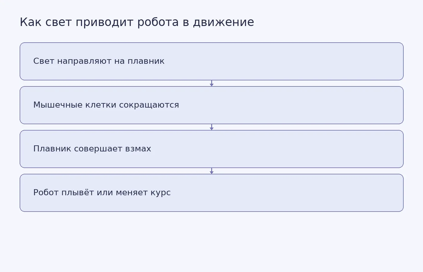 Тонкий робот на живых мышечных клетках проплыл через водный лабиринт