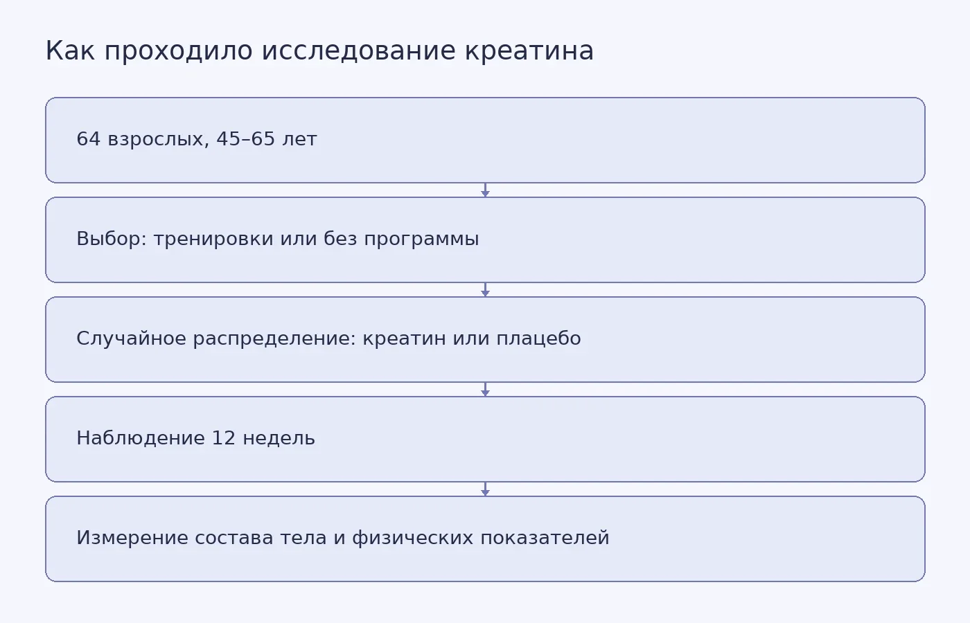 Схема показывает группы участников, распределение креатина и плацебо и срок исследования; выбор тренировочной программы участники делали сами.