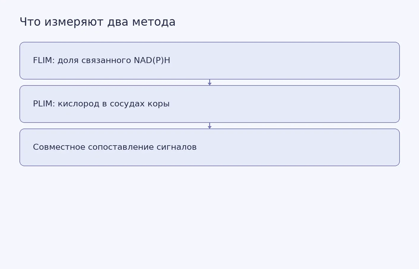 Схема показывает, как FLIM оценивает метаболический сигнал по NAD(P)H, PLIM оценивает кислород в сосудистой сети, а совместная регистрация позволяет сравнить эти показатели в одной ткани.