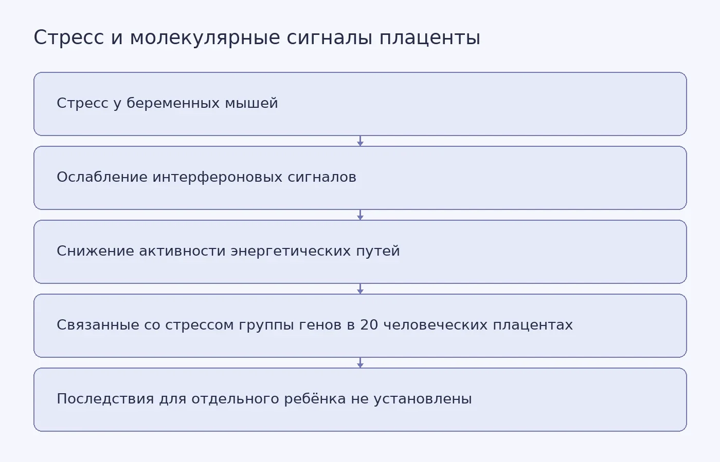 Схема результатов исследования: изменения сигналов плаценты у мышей и связь стресса с группами генов в человеческих плацентах; схема не показывает прогноз для отдельного ребёнка.