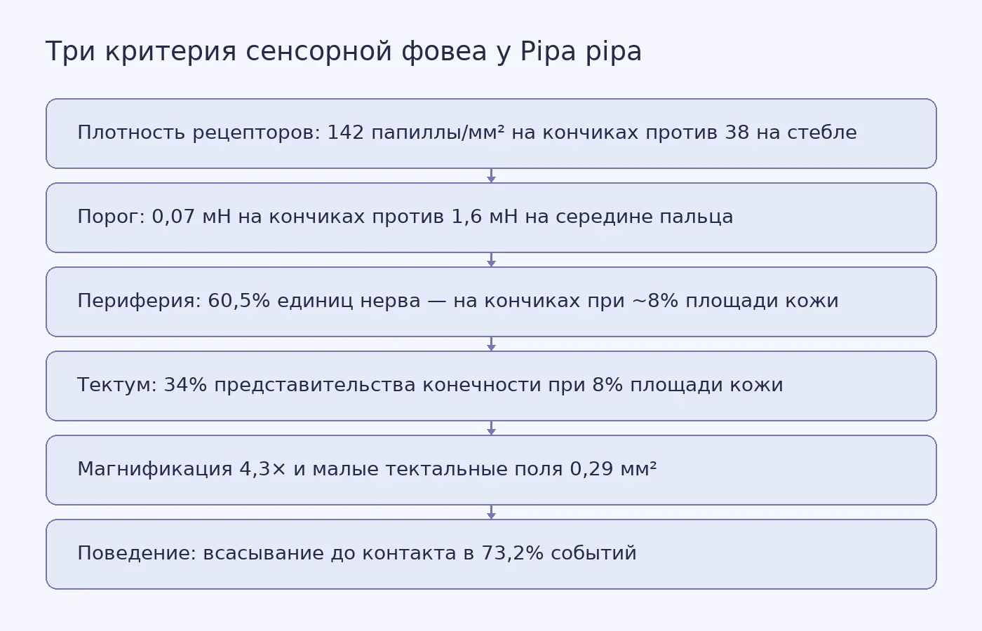 Три критерия сенсорной фовеа у Pipa pipa