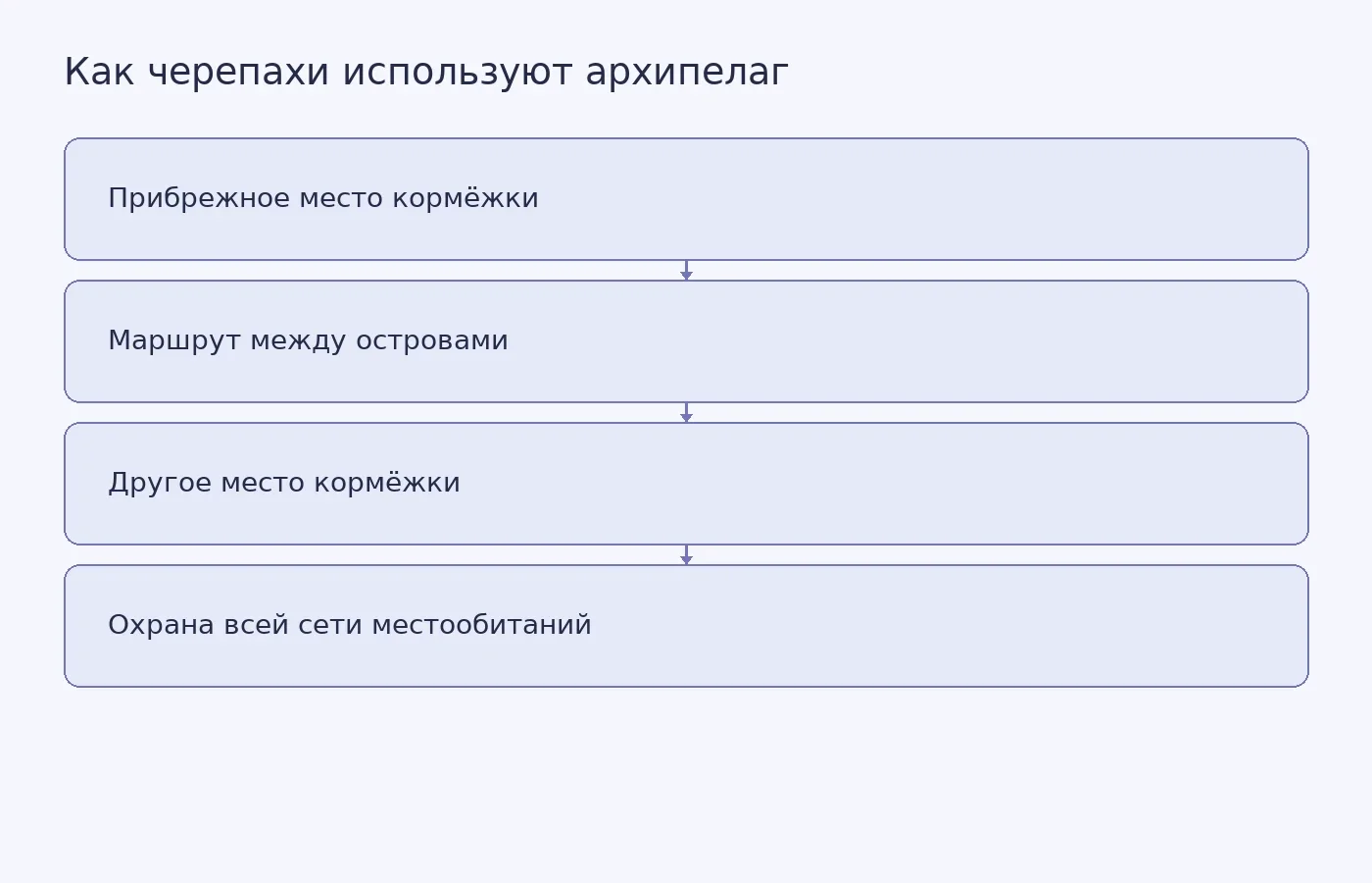Схема показывает, что зелёная черепаха может использовать несколько прибрежных участков и путь между островами, поэтому охрана одной зоны не покрывает весь используемый ареал.