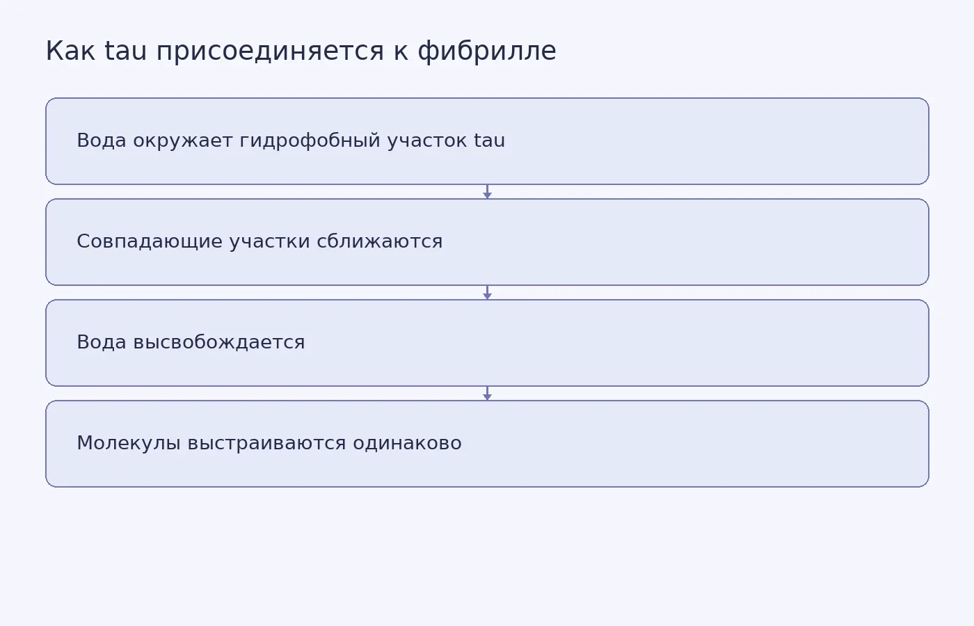 Схема описанного механизма: подвижная оболочка воды вокруг участка tau помогает совпадающим участкам соединиться и поддерживает рост фибриллы