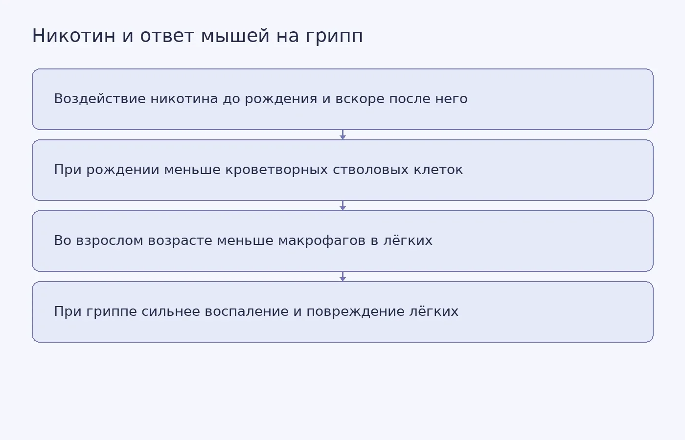 Схема показывает последовательность наблюдений в эксперименте на мышах и не утверждает, что такой эффект доказан у людей.