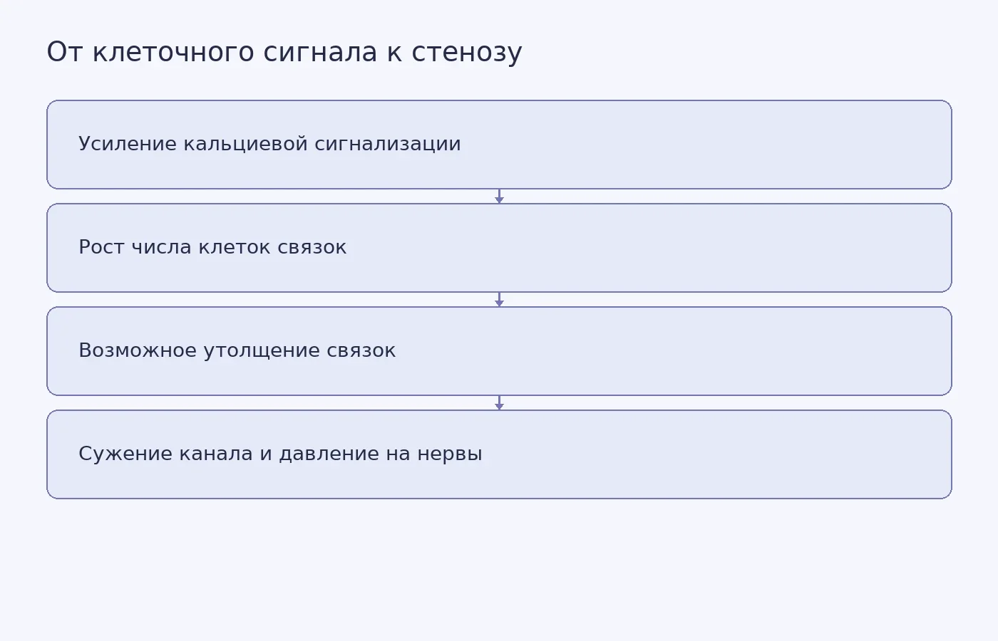 Упрощённая схема предполагаемой связи кальциевой сигнализации с разрастанием связок при стенозе; блокирование роста показано только в мышиной модели.