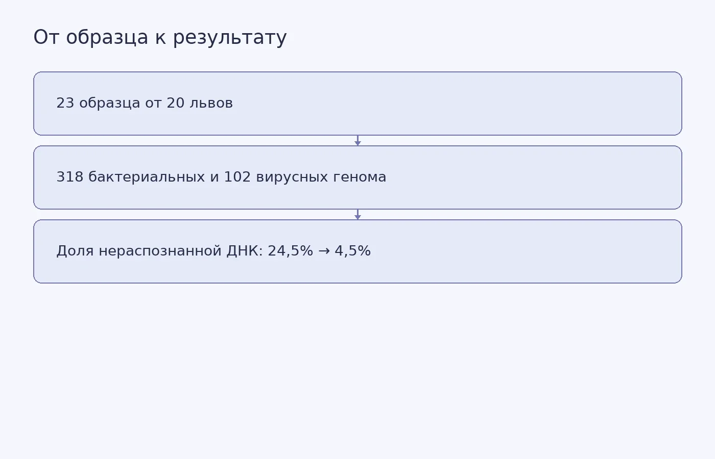 Схема показывает, как образцы фекалий львов помогли собрать микробные геномы и улучшить классификацию ДНК в базе GTDB.