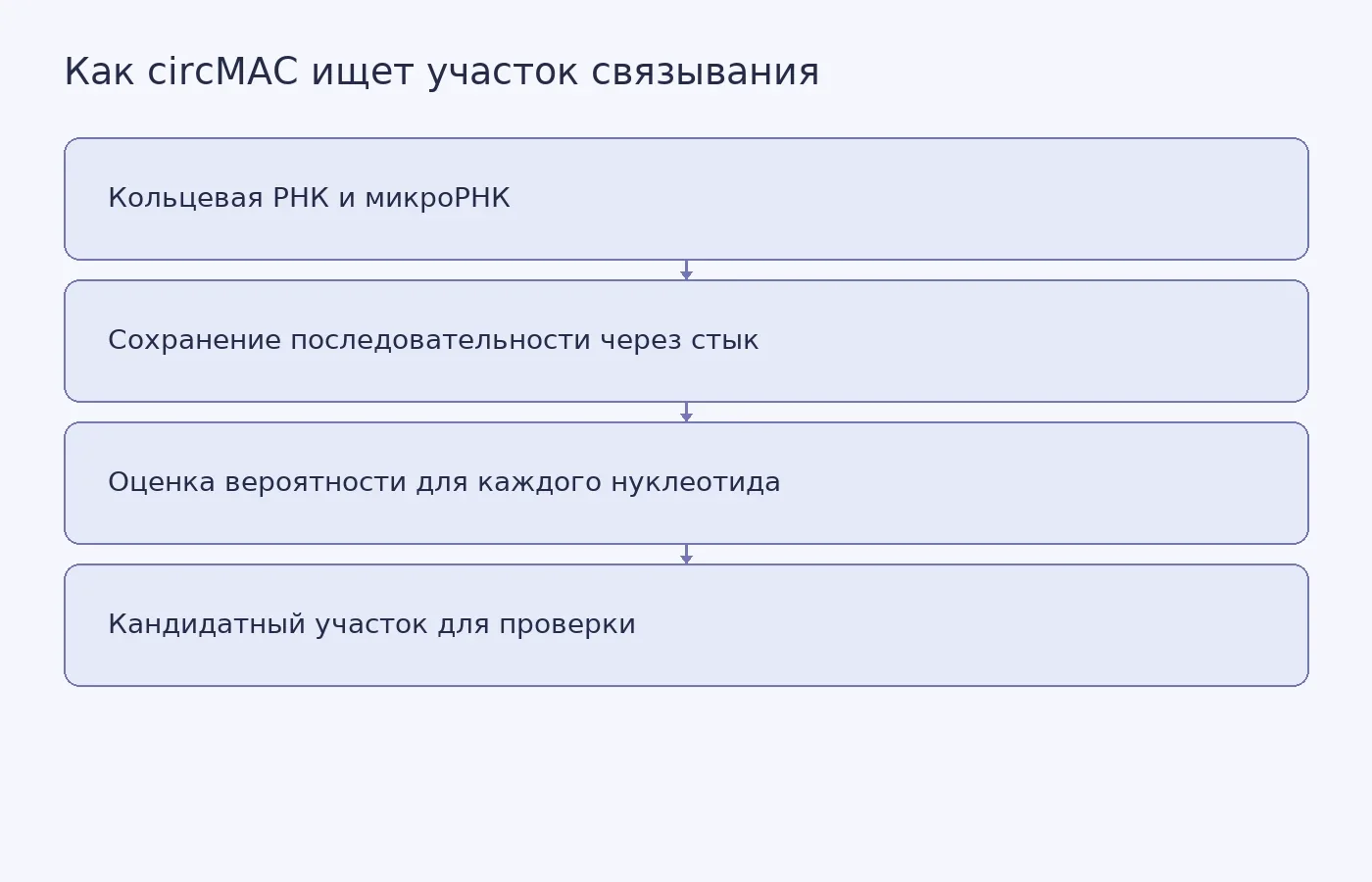 Схема показывает вычислительный путь от двух РНК-последовательностей к прогнозу возможного участка связывания и последующей экспериментальной проверке.