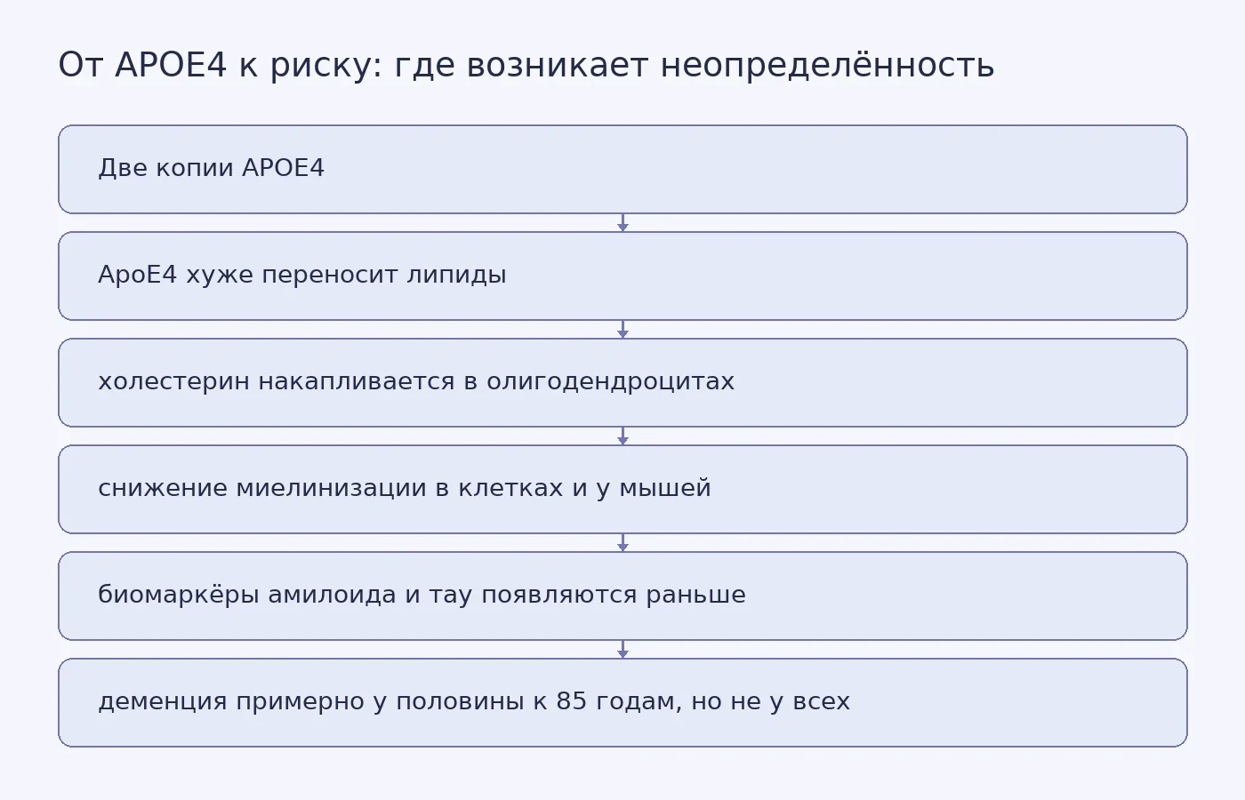 Схема показывает цепочку от генотипа APOE4/APOE4 через нарушения липидного обмена и миелинизации к ранним биомаркёрам и вероятностному, а не неизбежному риску деменции.