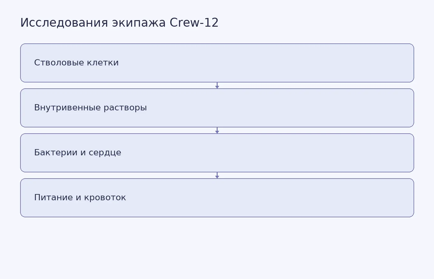 Схема показывает направления исследований Crew-12 на МКС; NASA не сообщило итоговые результаты их анализа.