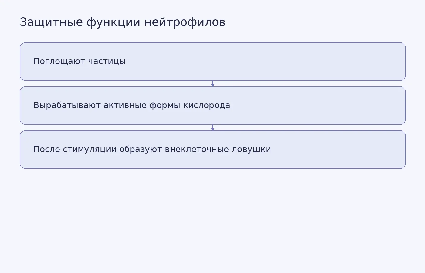 Схема перечисляет функции эмбриональных нейтрофилов, проверенные в лабораторных анализах, и не показывает количественные результаты эксперимента.