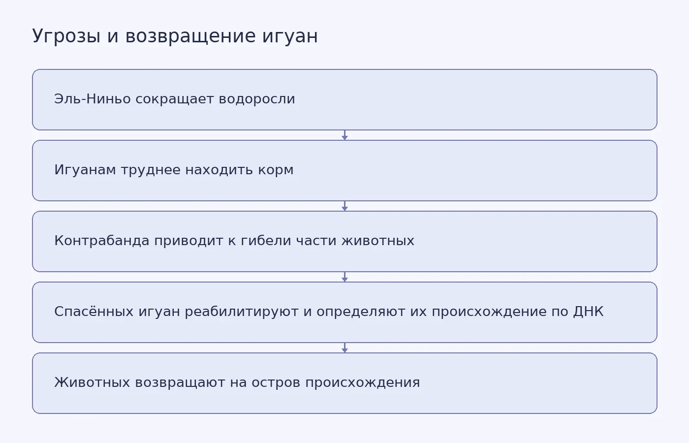 Схема показывает отдельные угрозы от нехватки водорослей и контрабанды, а также этапы подготовки спасённых игуан к возвращению на остров происхождения.
