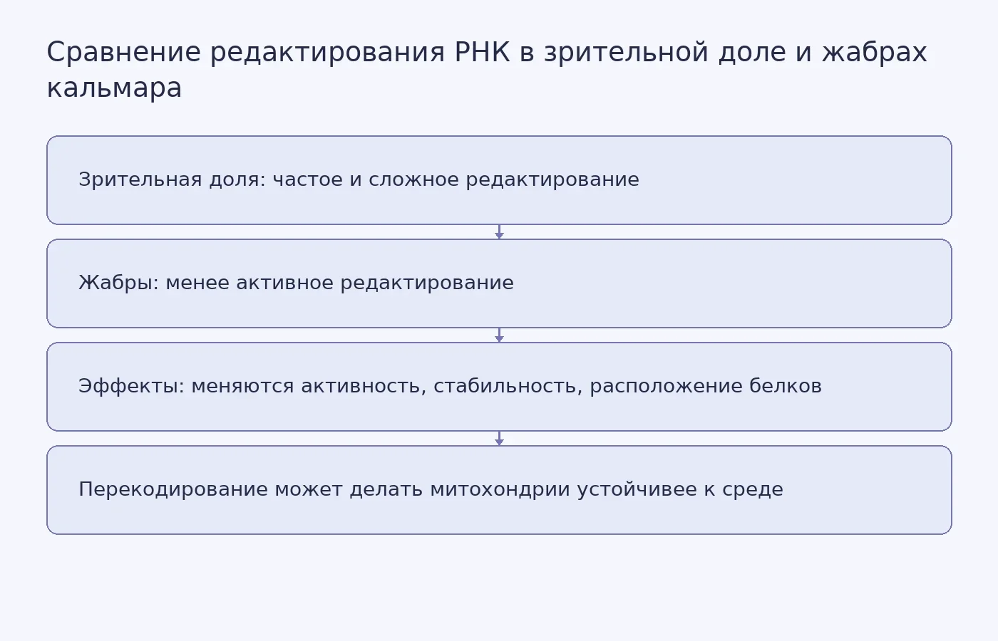 Схема: два органа кальмара — зрительная доля и жабры. Под каждым указана интенсивность редактирования РНК и перечислены изменения в белках, включая возможное улучшение стабильности митохондрий.