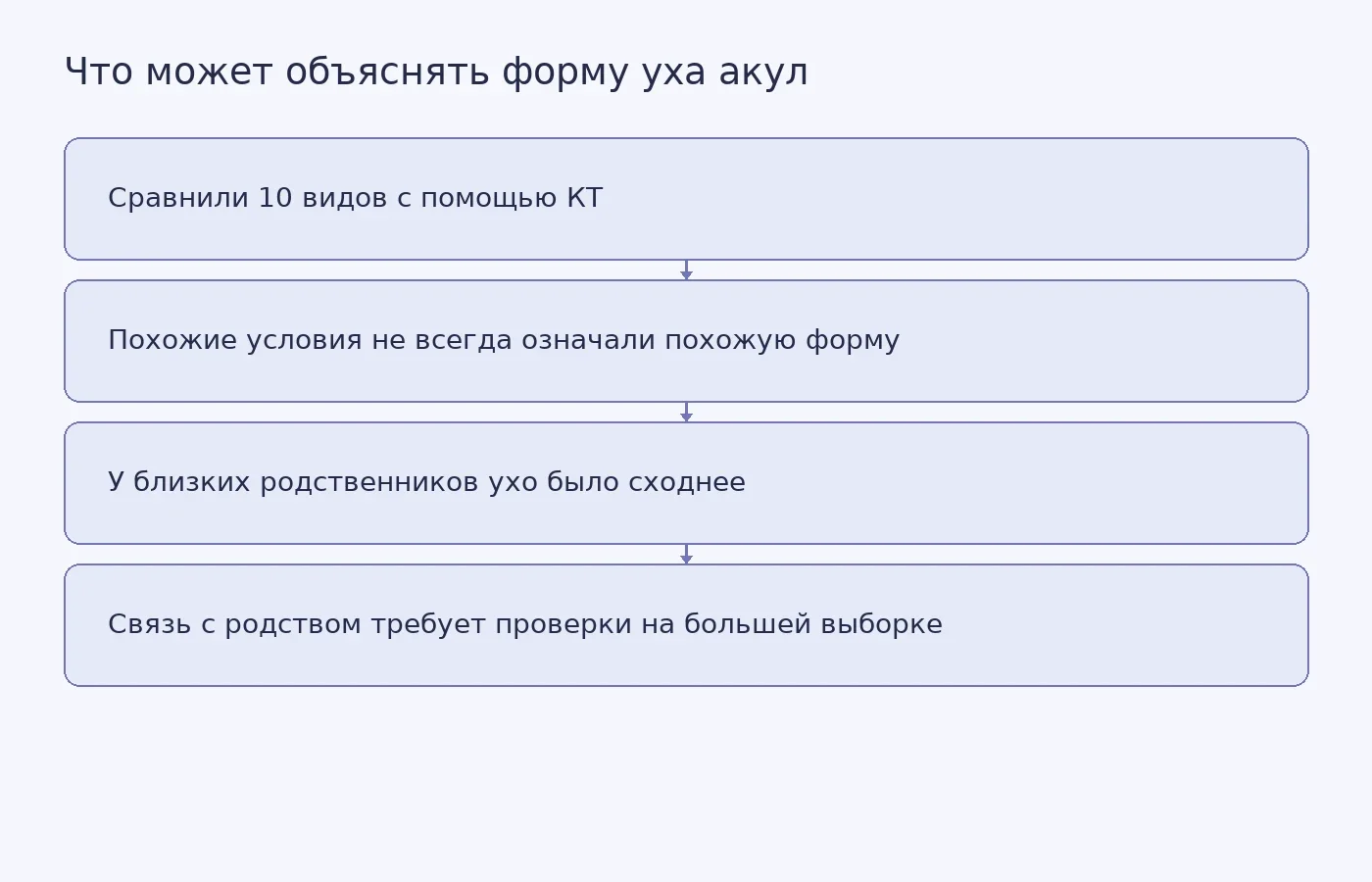 Схема показывает ход сравнения внутреннего уха акул и предварительный вывод о возможной связи его формы с эволюционным родством.