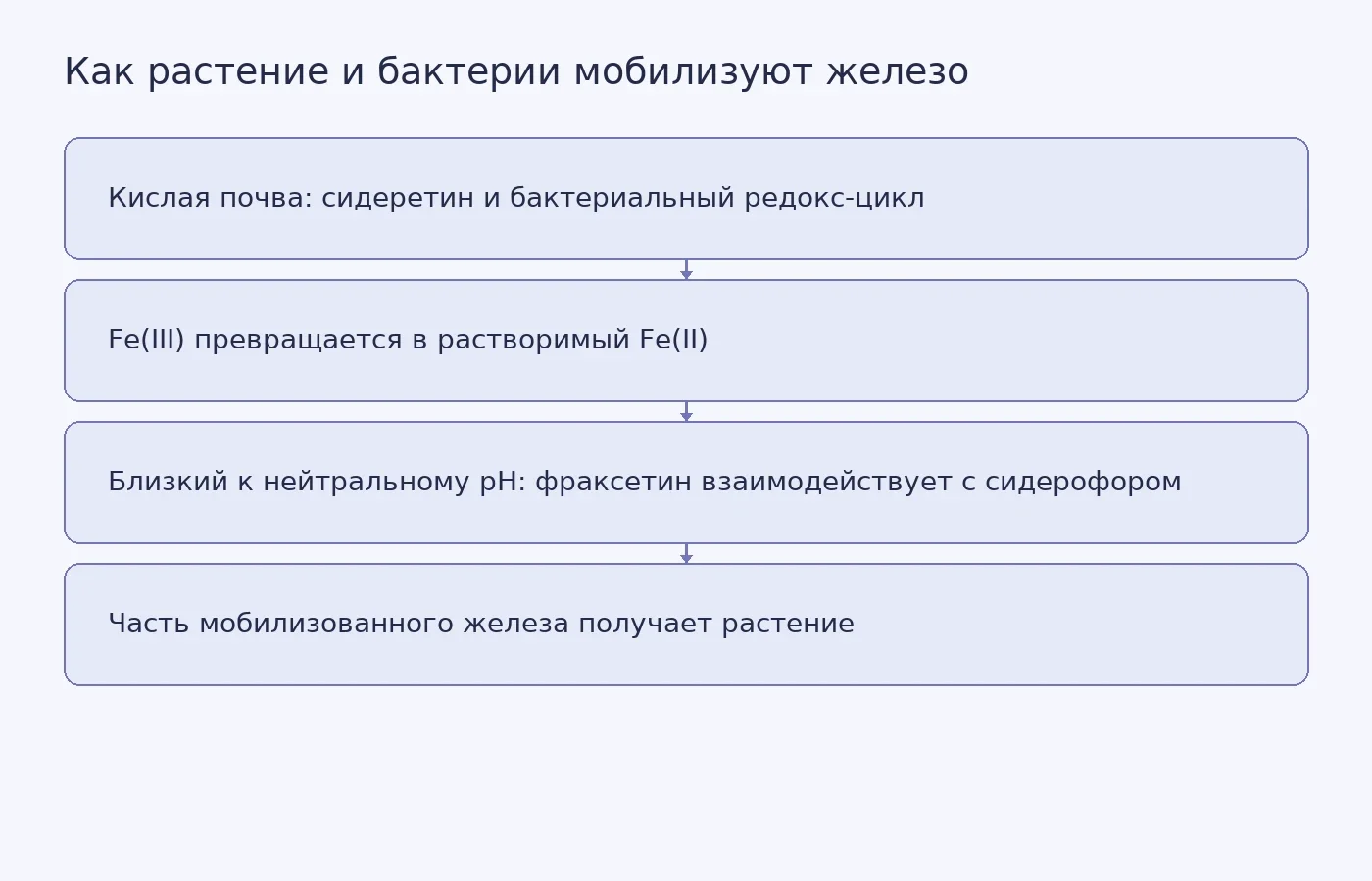 Схема двух описанных механизмов: предполагаемого цикла сидеретина в кислой почве и взаимодействия фраксетина с бактериальным сидерофором при близком к нейтральному pH.