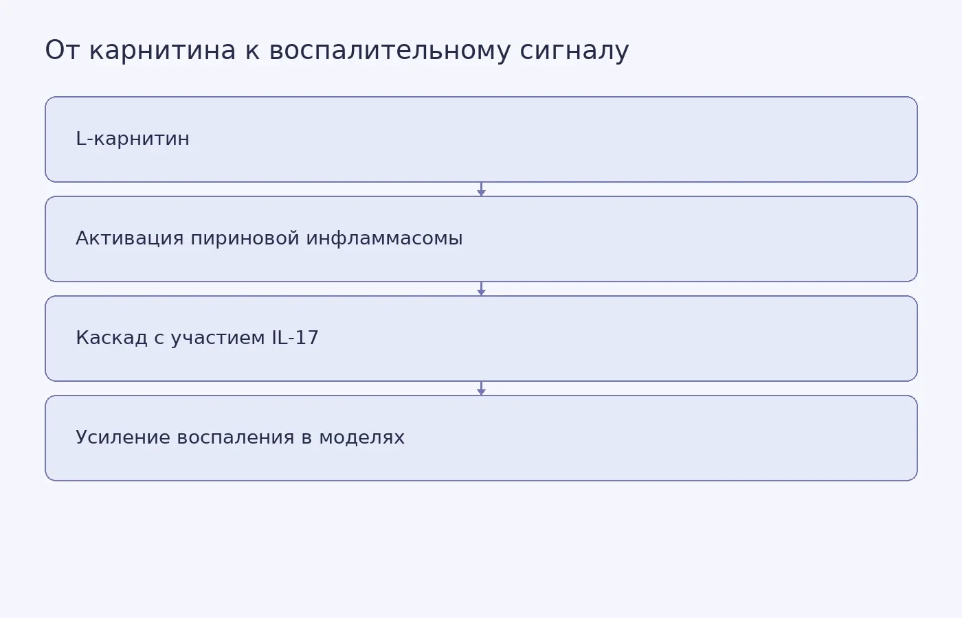 Схема экспериментально описанной цепочки от L-карнитина через пириновую инфламмасому и IL-17 к воспалительной реакции; результаты получены на клетках и мышах.