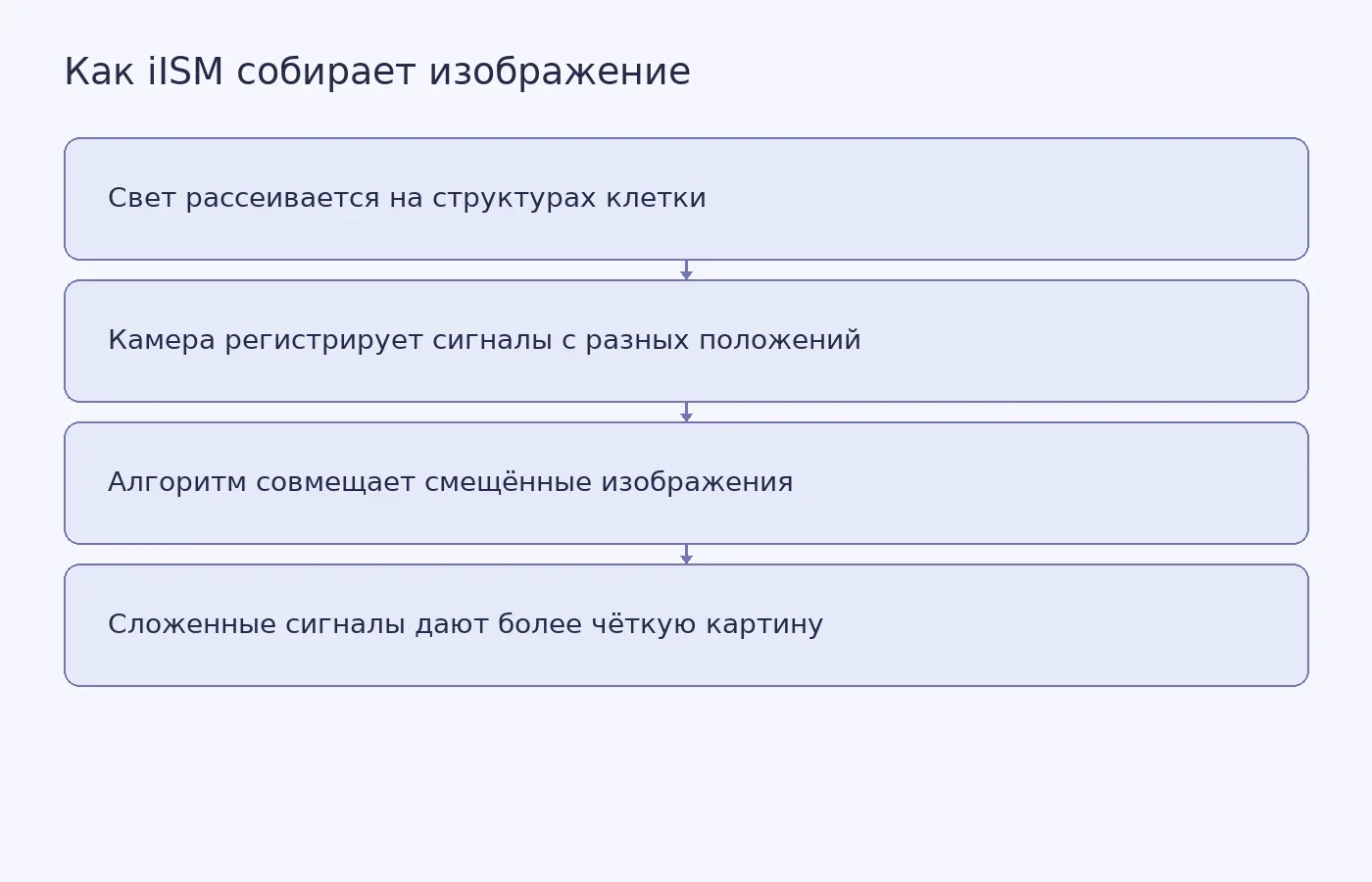 Схема принципа iISM: регистрация рассеянного света массивом детекторов, совмещение сигналов алгоритмом и получение изображения с улучшенным латеральным разрешением