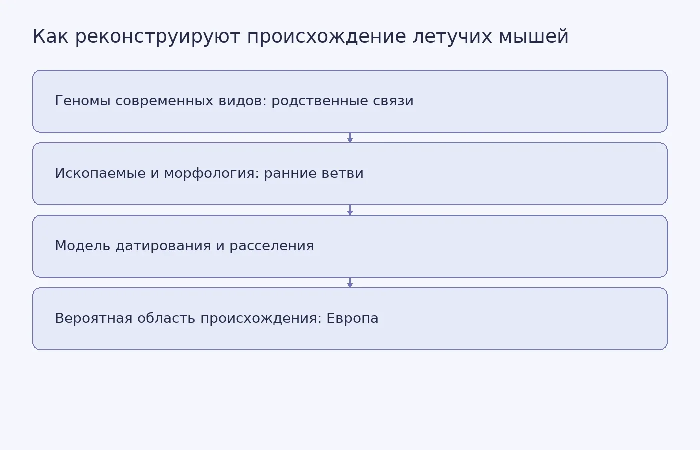 Схема показывает, как геномы современных летучих мышей, морфология ископаемых и модели датирования и расселения совместно дают реконструкцию вероятного европейского происхождения и ранней эхолокации.