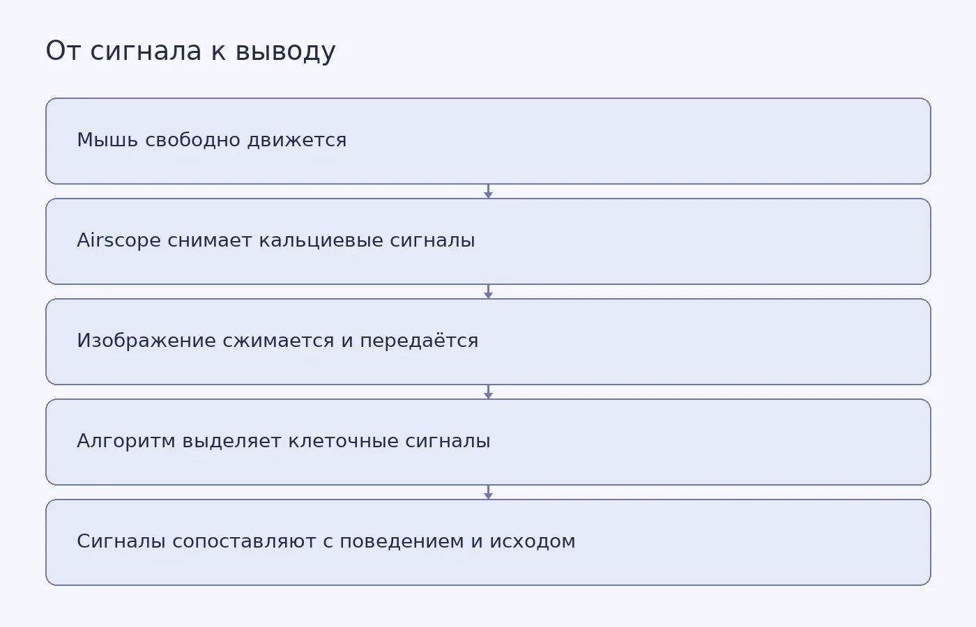 Схема показывает путь от регистрации активности коры беспроводным Airscope до статистического сопоставления сигналов с поведением; она также подчёркивает, что предсказание исхода не доказывает причинную роль коры.