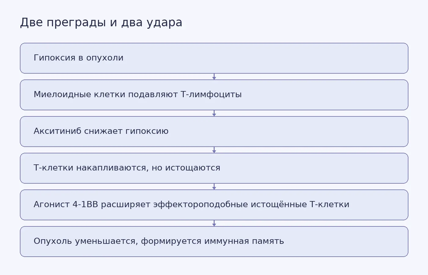 Схема: гипоксия рекрутирует миелоидные супрессоры, акситиниб снимает гипоксию, агонист 4-1BB поддерживает истощённые Т-клетки, вместе они дают эффект