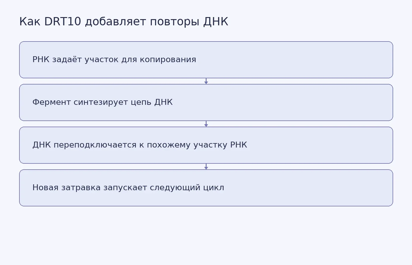 Схема показывает предложенный механизм повторного синтеза ДНК в DRT10: отделение новой цепи от участка A и её спаривание с похожим участком A′ РНК.