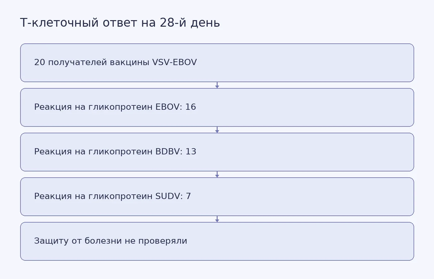Схема показывает число участников с Т-клеточной реакцией на гликопротеины трёх вирусов на 28-й день после вакцинации и отмечает, что клиническую защиту исследование не установило.