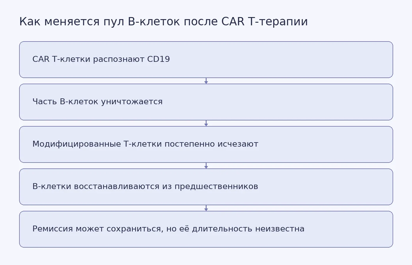 Схема описывает предполагаемую последовательность после анти-CD19 CAR T-терапии: уничтожение части B-клеток, исчезновение модифицированных T-клеток и восстановление B-клеточного пула. Сохранение ремиссии возможно, но не гарантировано.