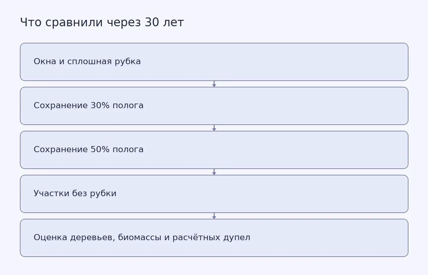 Схема показывает варианты рубки и контроля в опыте Танджил-Брен и измерения, выполненные на площадках в 2019 году; она не изображает универсальный эффект прореживания.
