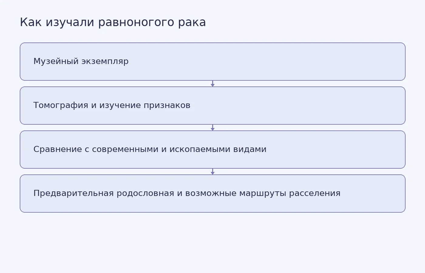 Схема показывает путь от повторного исследования музейного экземпляра до предварительной реконструкции эволюции Bathynomus