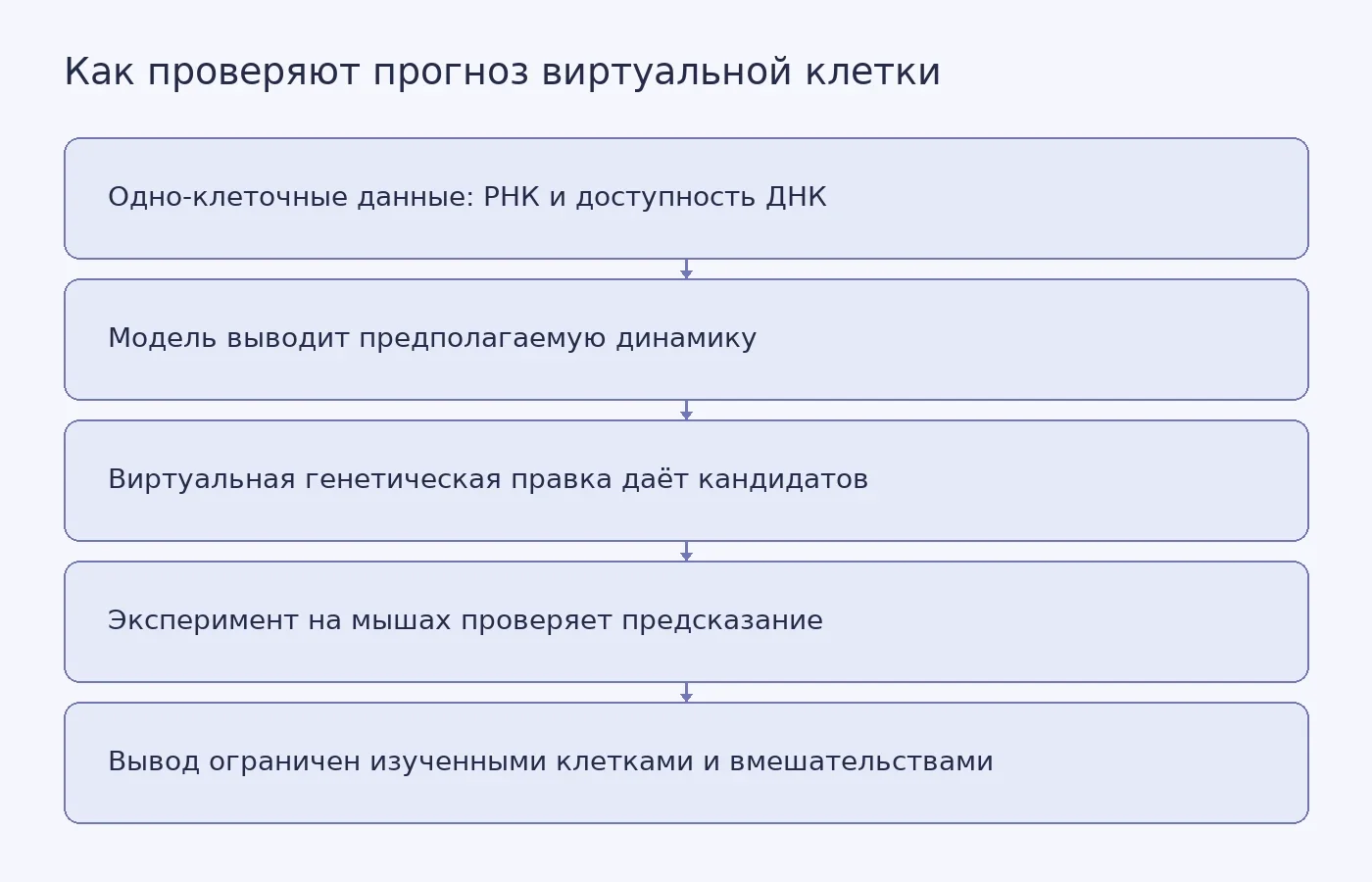 Схема показывает путь от одно-клеточных мультиомных данных через вычислительную модель к экспериментальной проверке генетического вмешательства и подчёркивает, что результат относится к изученной системе мышиных B-клеток.