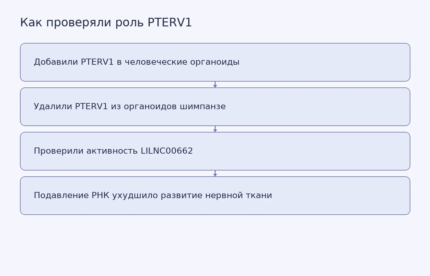 Схема показывает манипуляции с вирусной вставкой PTERV1 и регуляторной РНК LILNC00662 в органоидах; это объяснение эксперимента, а не график данных