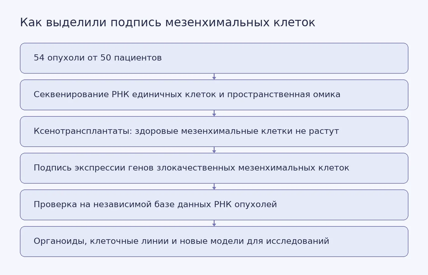 Схема показывает путь от образцов опухолей пациентов через ксенотрансплантаты к генной подписи и её проверке на независимых данных.