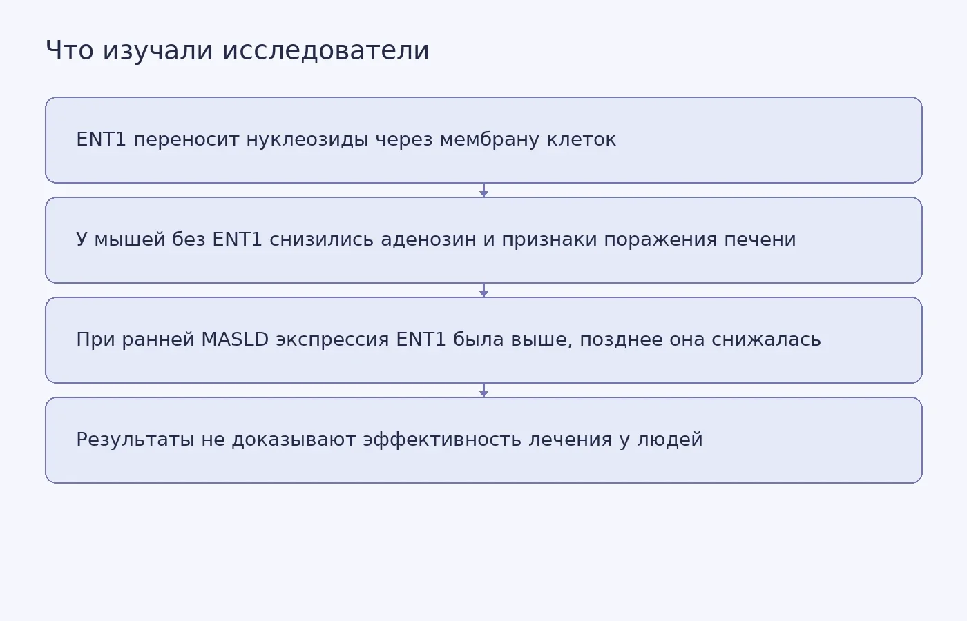 Схема показывает результаты опытов на мышах и анализа биопсий, а также границу вывода: данные пока не подтверждают лечение людей