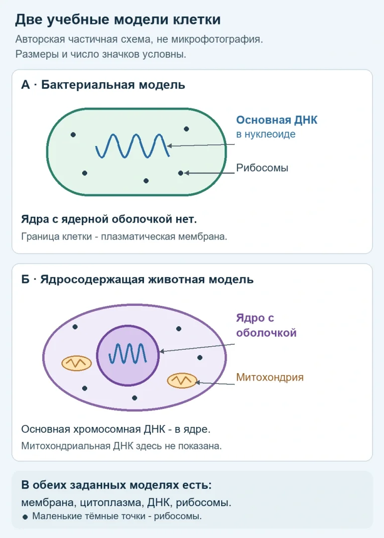 Как готовиться к вступительному экзамену по биологии в вузе
