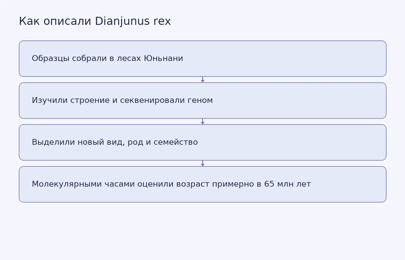 Схема показывает путь от сбора образцов Dianjunus rex до таксономического описания и приблизительной оценки возраста семейства