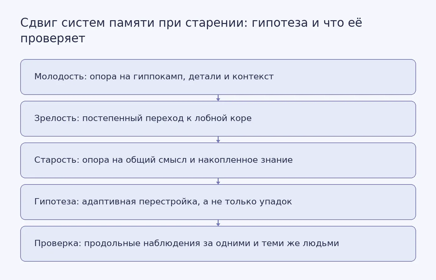 Схема показывает, как с возрастом меняется опора на гиппокамп и лобную кору, где проходит граница между наблюдаемым сдвигом и гипотезой адаптивности и какие продольные данные нужны для проверки.