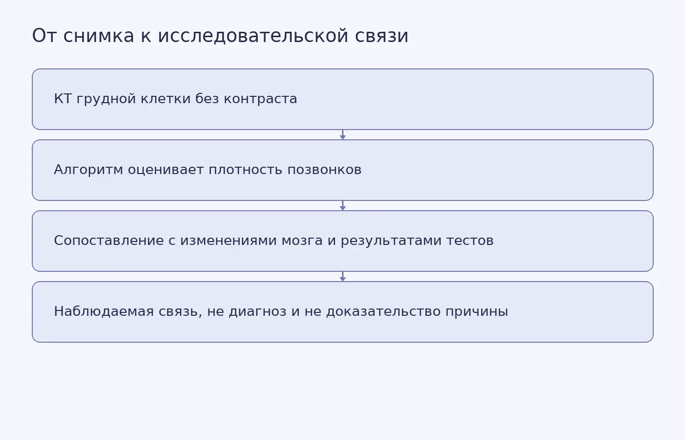 Схема показывает, как исследователи оценивали плотность грудных позвонков по КТ и сравнивали её с последующими когнитивными и МРТ-показателями участников.