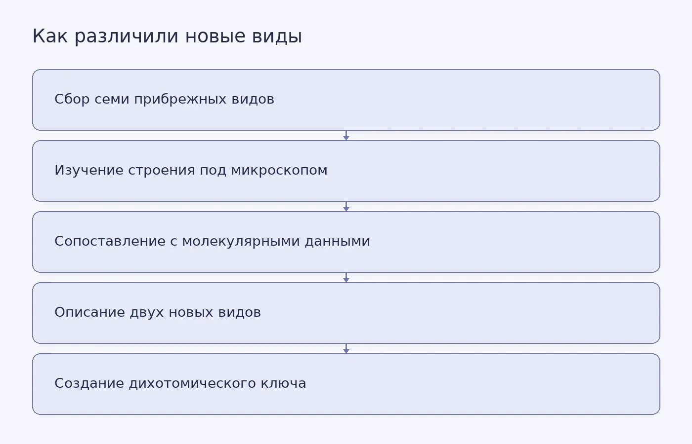 Схема показывает, как морфологические и молекулярные данные использовали для изучения семи видов морских пауков Салиш-Си и описания двух новых видов