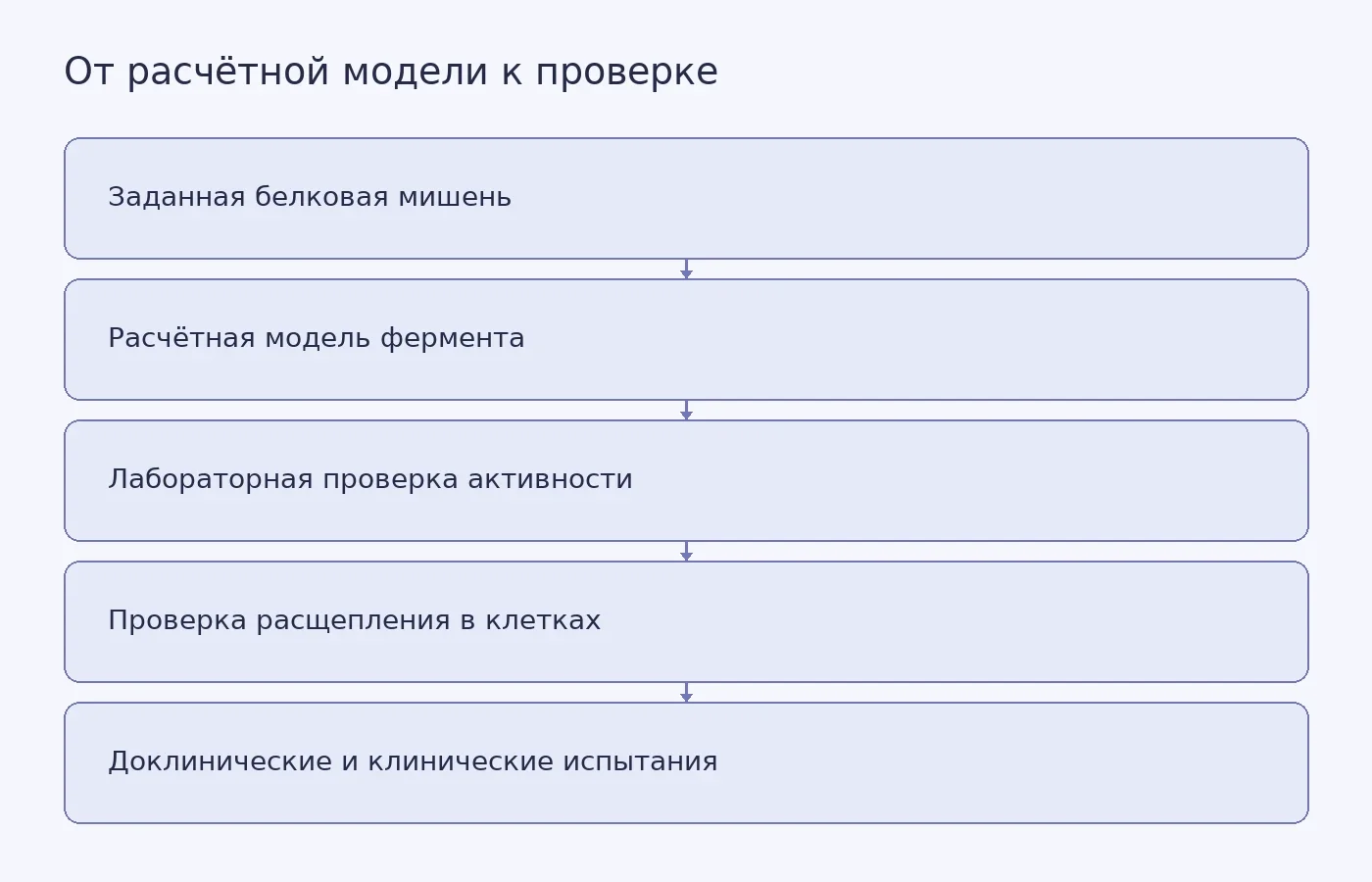 Концептуальная схема показывает этапы от проектирования протеазы под заданную белковую мишень до лабораторных и медицинских проверок. Исследования Nature охватывают проектирование, тесты активности и отдельные клеточные эксперименты, но не клинические испытания.