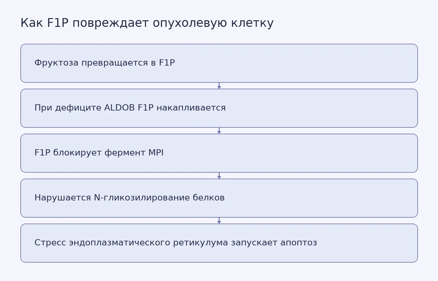 Схема показывает, как дефицит ALDOB приводит к накоплению F1P, блокировке MPI, нарушению сборки белков и гибели опухолевой клетки.