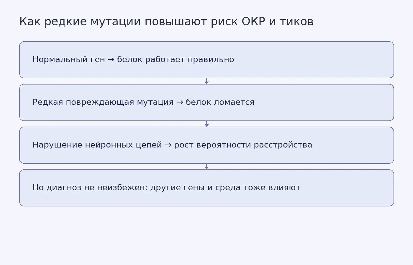 Схема из четырёх шагов: от нормальной работы гена через мутацию и поломку белка к повышению риска, который не гарантирует развитие болезни.