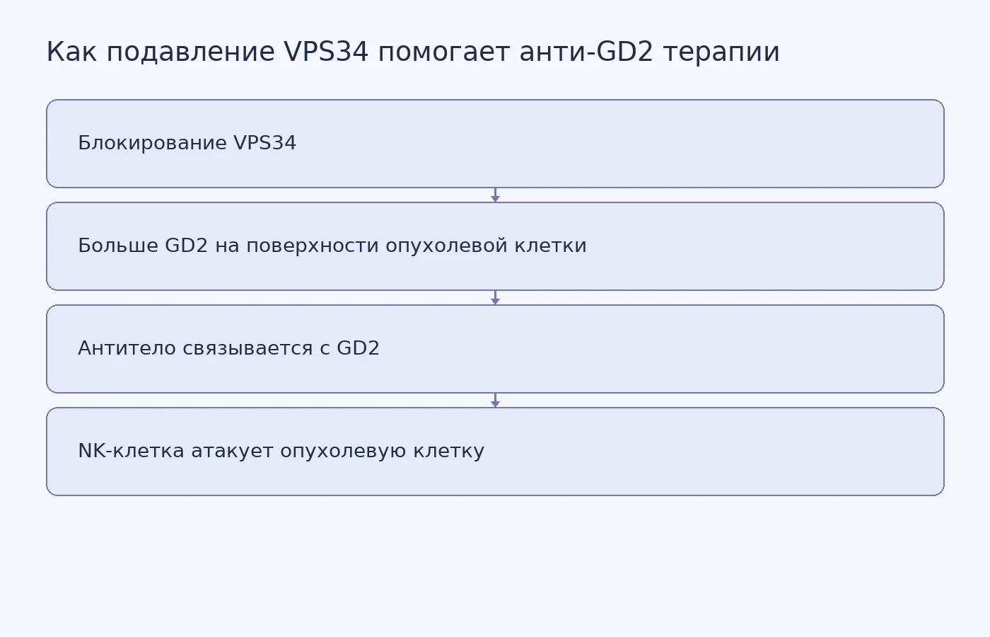 Схема предполагаемой связи между блокированием VPS34, повышением поверхностного GD2 и действием анти-GD2 антител с участием NK-клеток